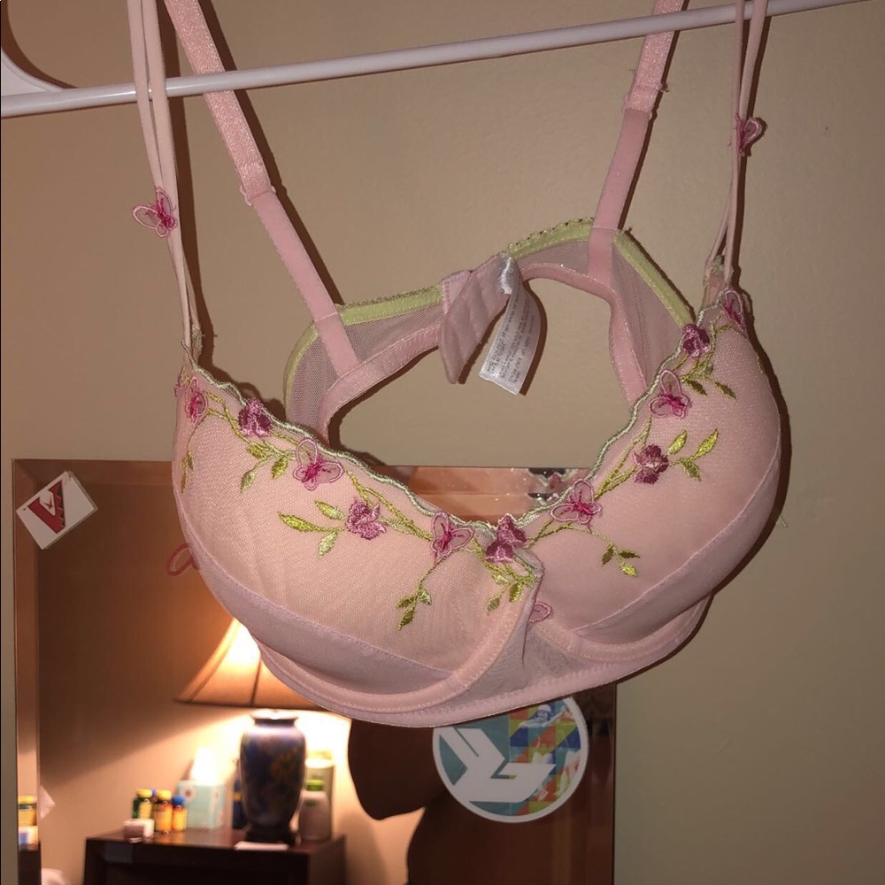 Delicates lingerie rose bra & panty set